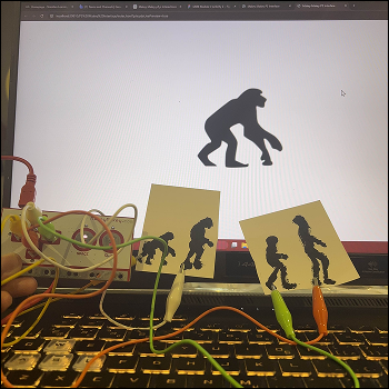 Evolution stage 1