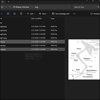 Bird diagram directory